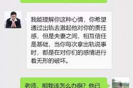 南湖市出轨调查：无效或者被撤销的婚姻，同居财产的处理